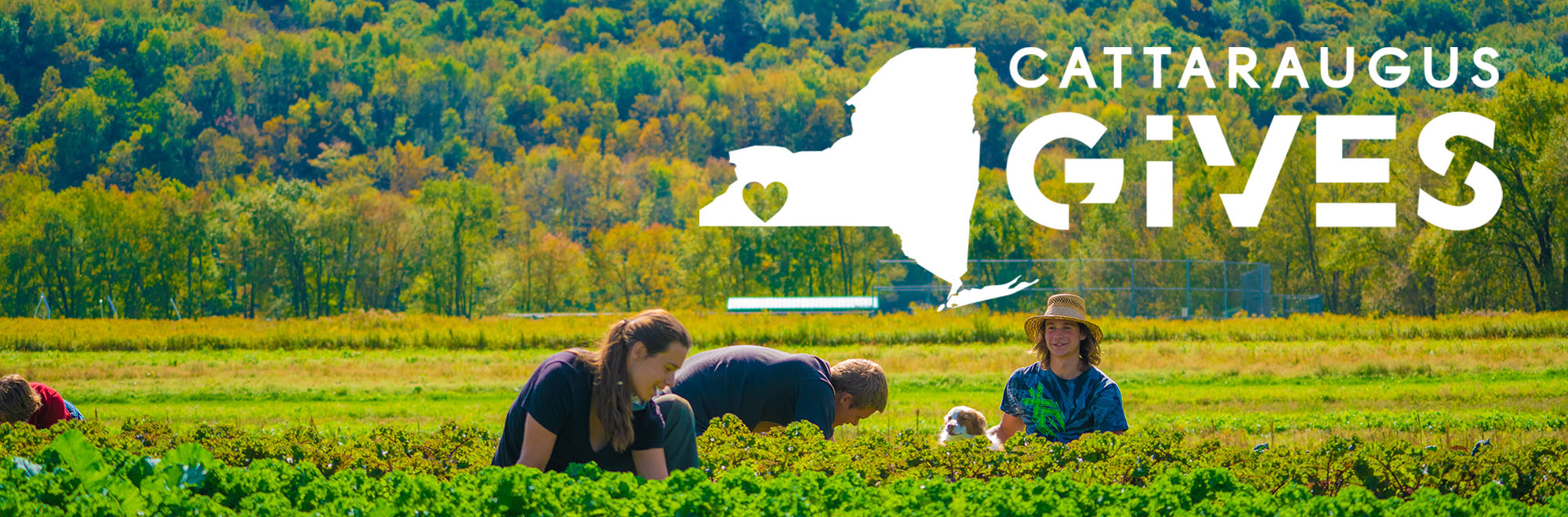 Cattaraugus Region Community Foundation